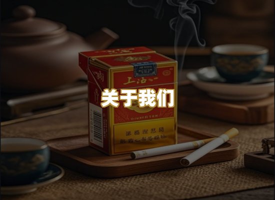 关于我们